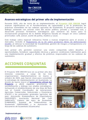 Avances estratégicos del primer año de implementación