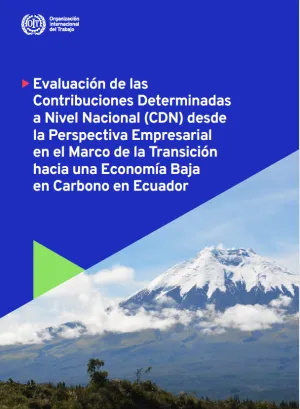 Evaluación de las Contribuciones Determinadas a Nivel Nacional (CDN) desde la Perspectiva Empresarial en el Marco de la Transición hacia una Economía Baja en Carbono en Ecuador