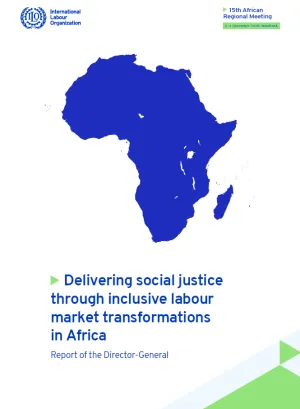 AFRM-Report-Vignette