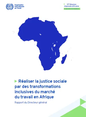 AFRM-Report-Vignette