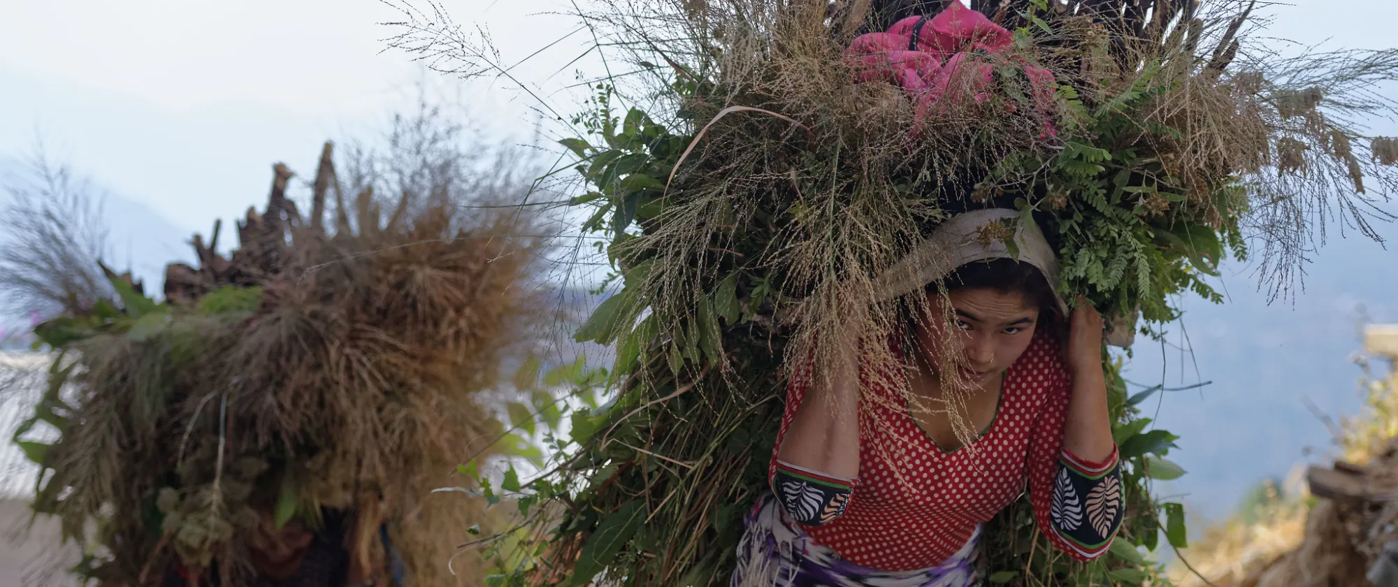 Women in difficult working conditions in the agricultural sector of Nepal 