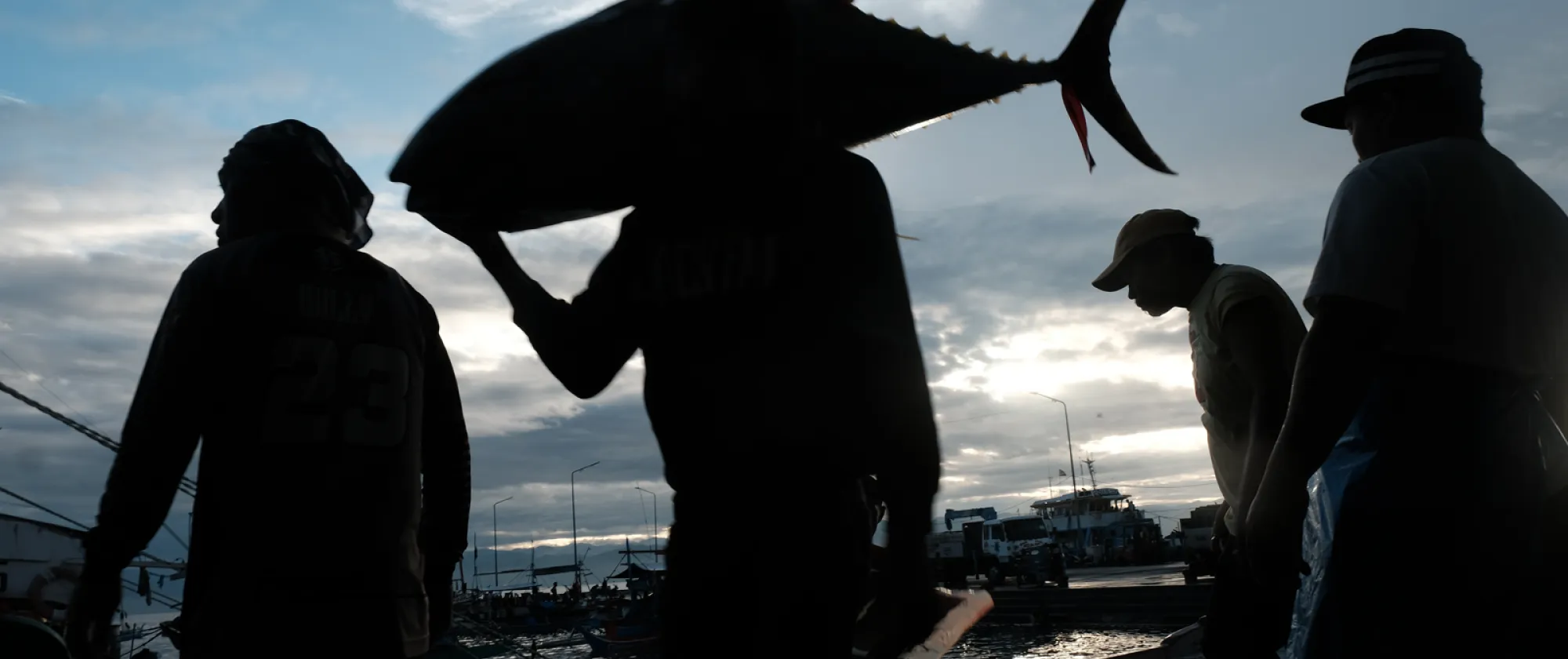 photo-fishers-unload-tuna-catch