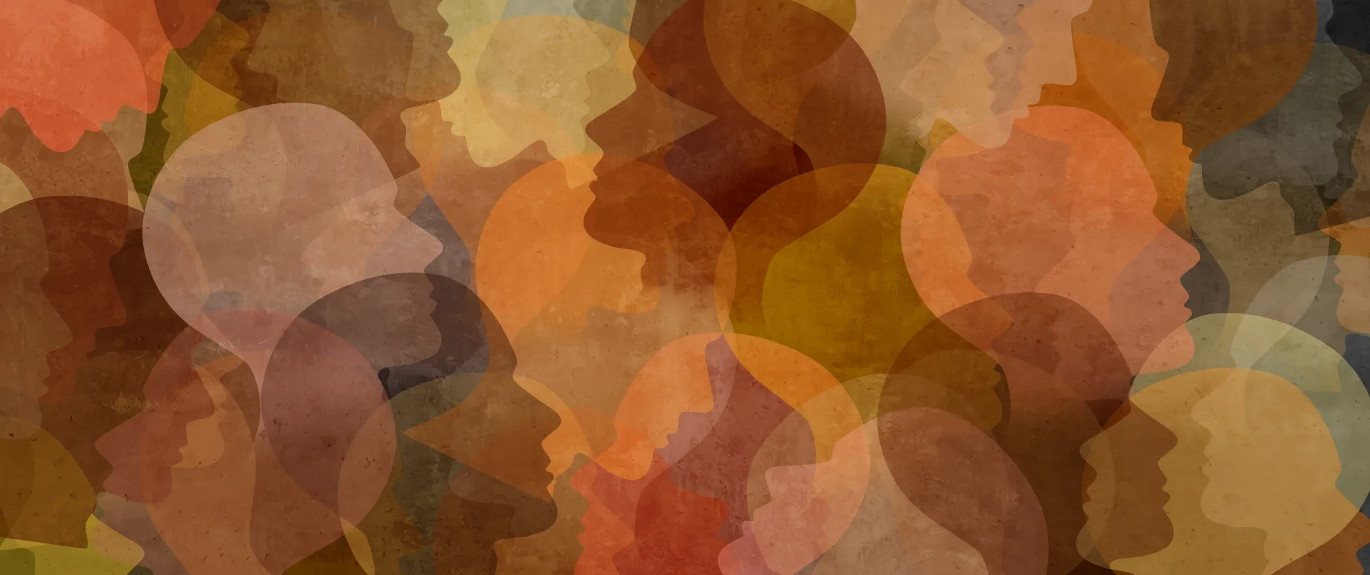 diversity image
