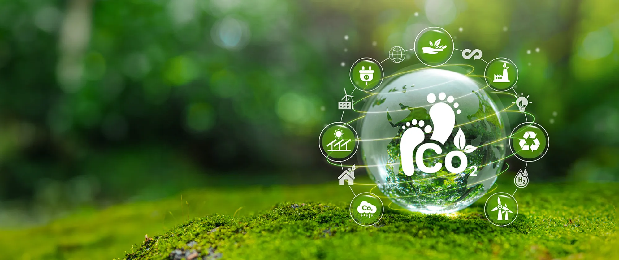 Reduce carbon footprint concept image concept to promote green business