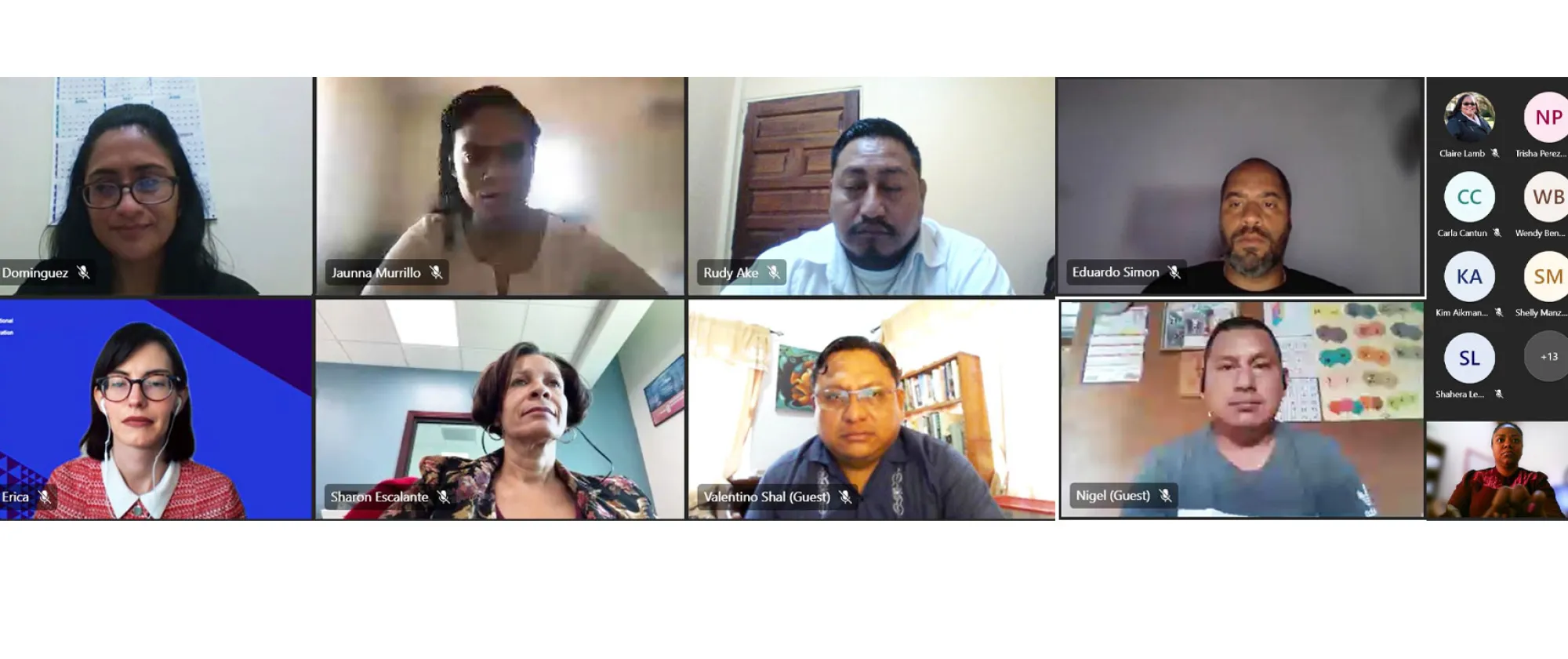 A group of people in a virtual meeting