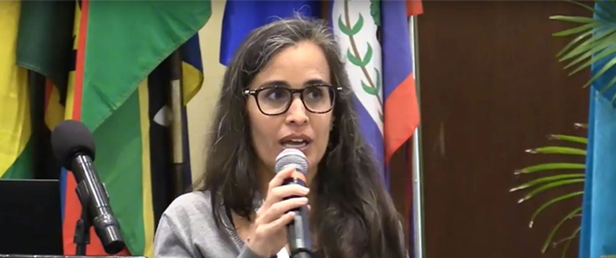 Joana Borges, ILO Specialist on a microphone addressing the seminar