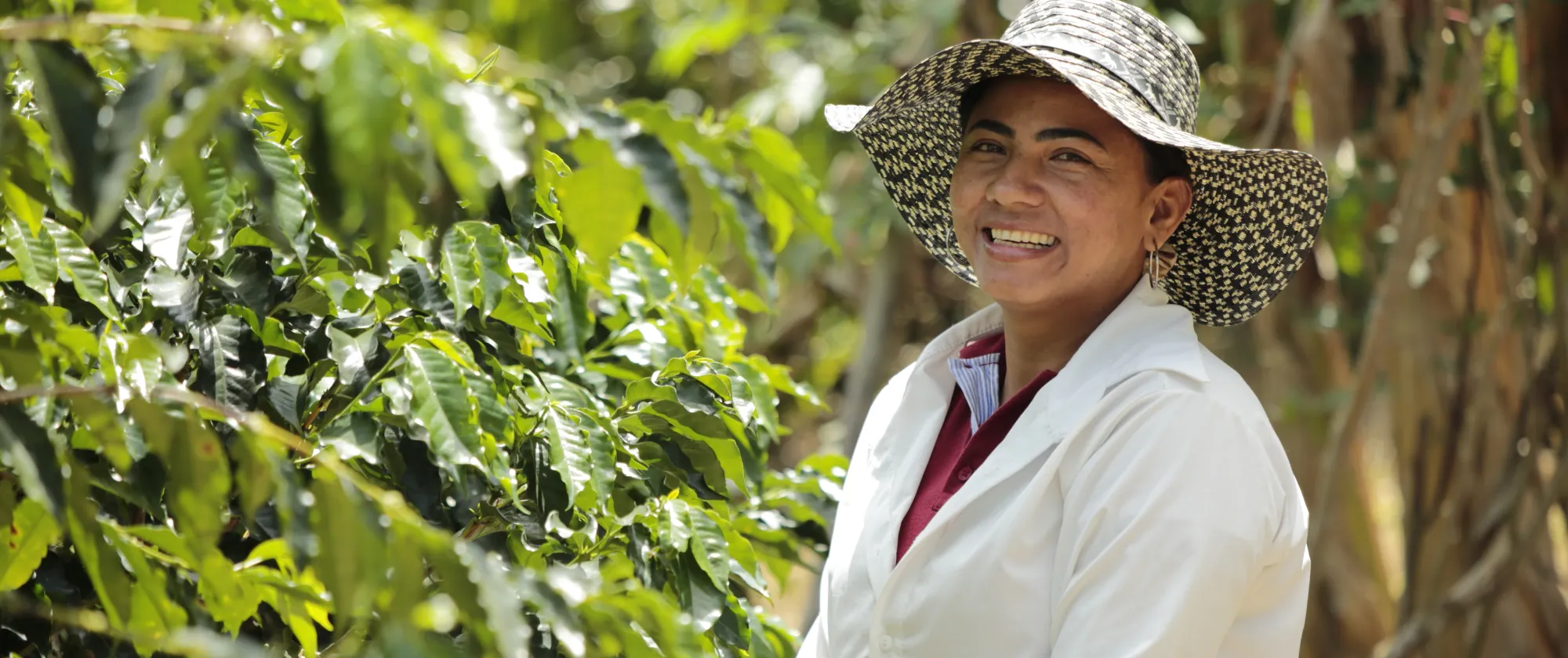 Mujer caficultora en cafetal del departamento del Huila, Colombia 