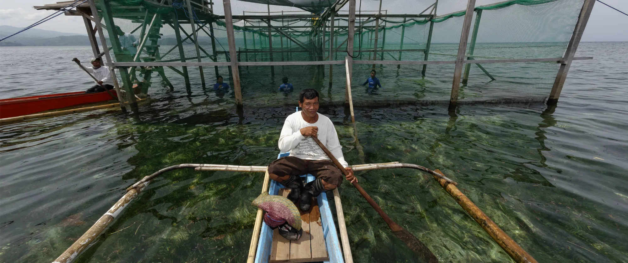 fisher rowing boat to harvest lobster