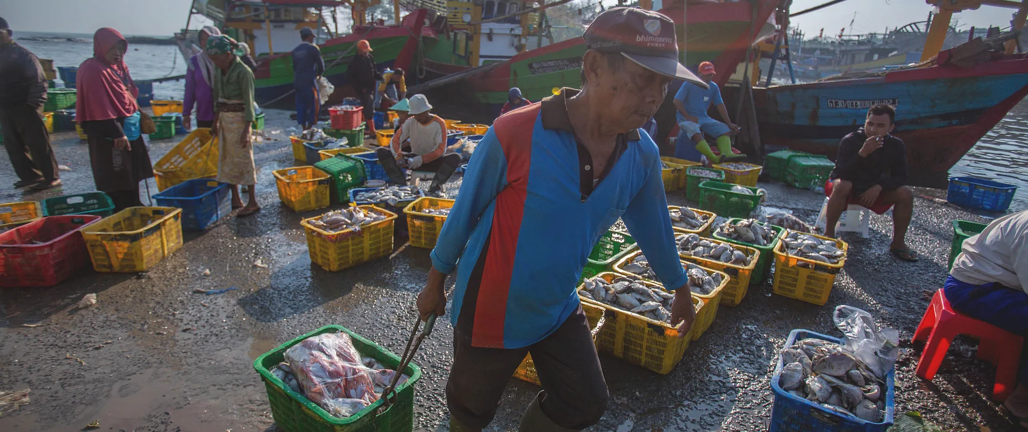 Working in Batang fishing port, Indonesia