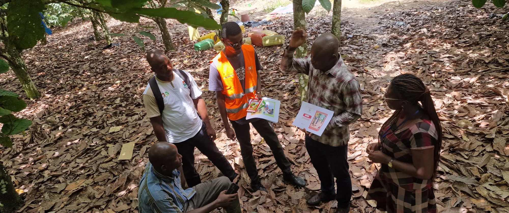 People discuss in a cocoa farm