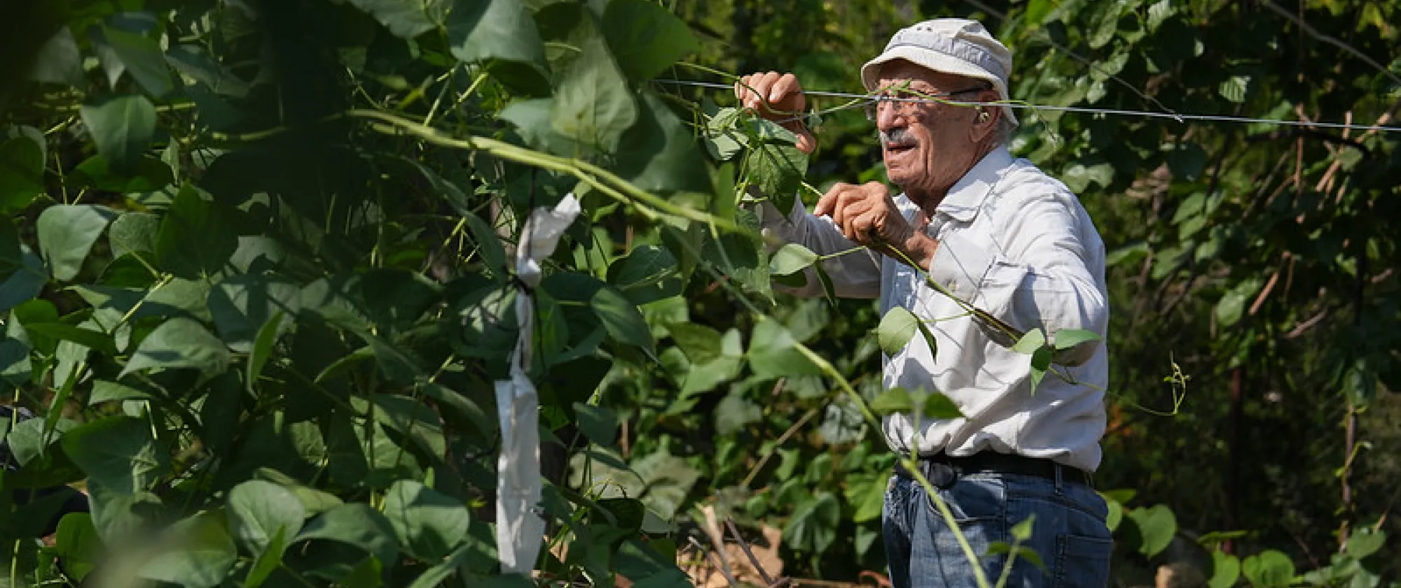 old person working on a farm