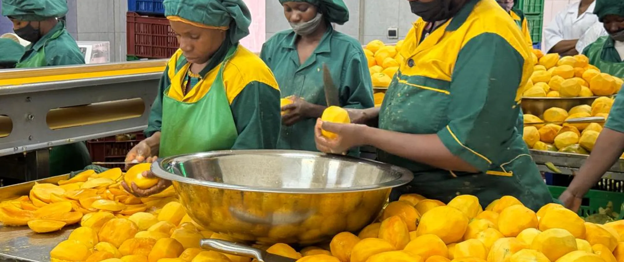 La formation vise à faire un briefing sur l’introduction à l’approche DSM, compréhension d’une chaîne de valeur et la gestion d’un projet de développement de systèmes de marché au Mali