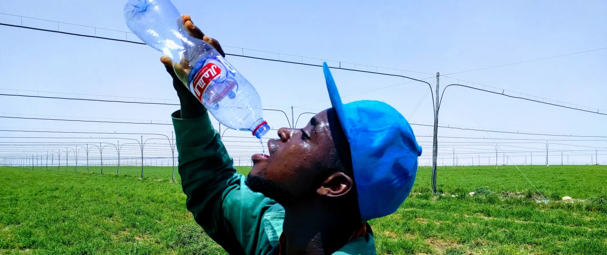 Agriculture worker drinking water