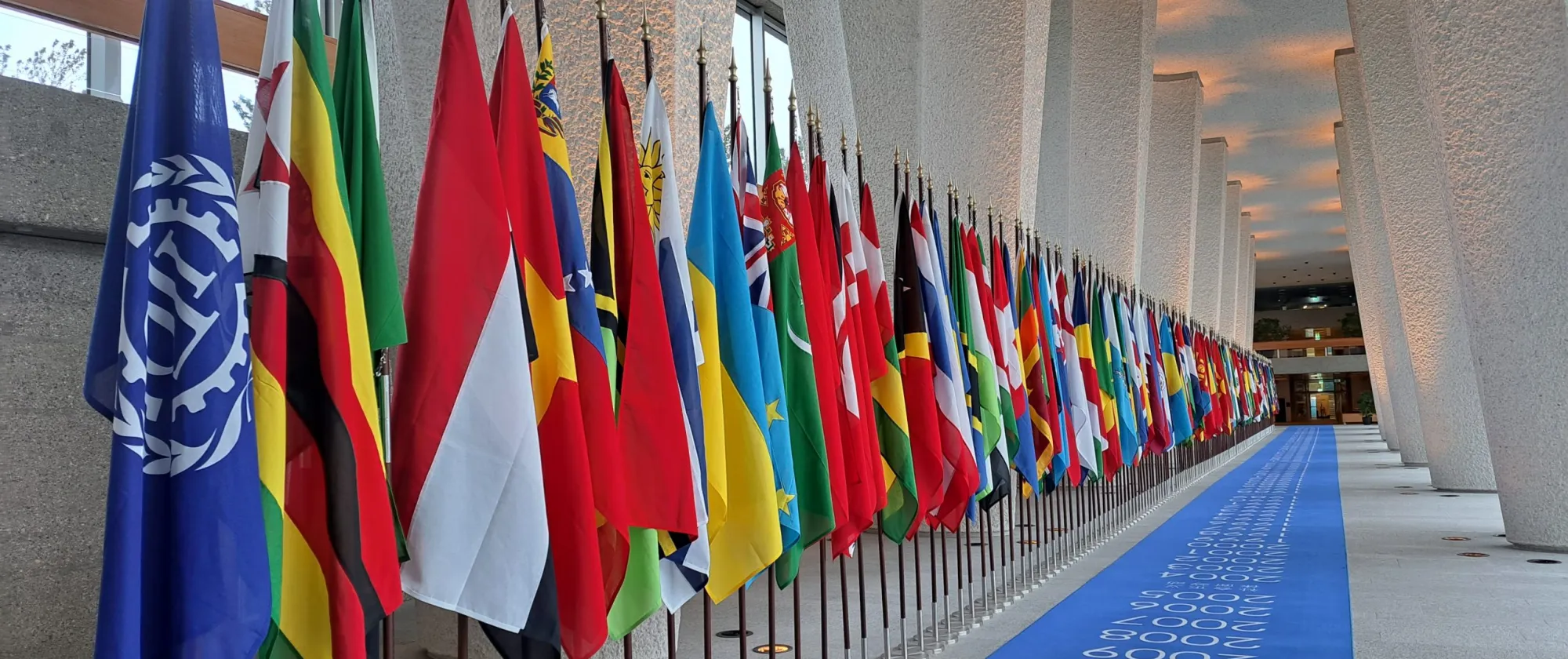 ilo flags