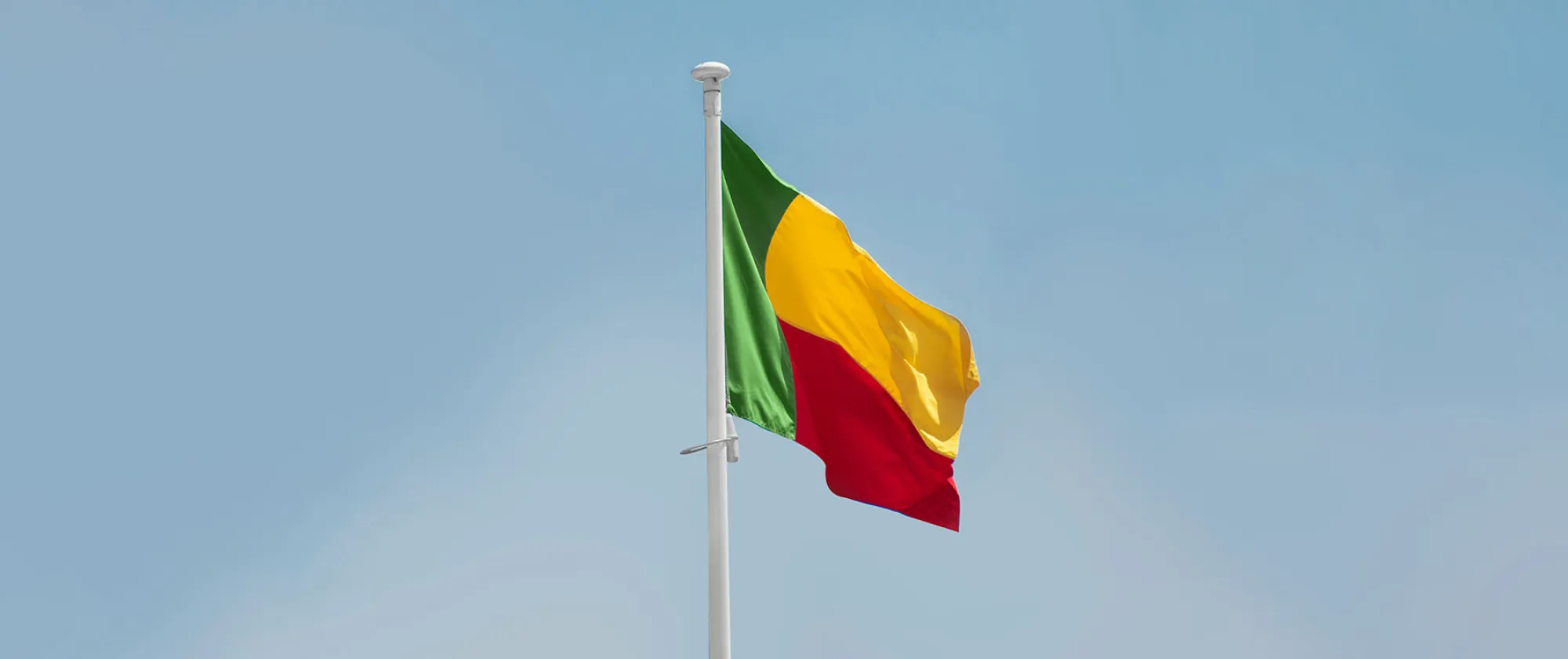 Benin Flag by Aboodi Vesakaran