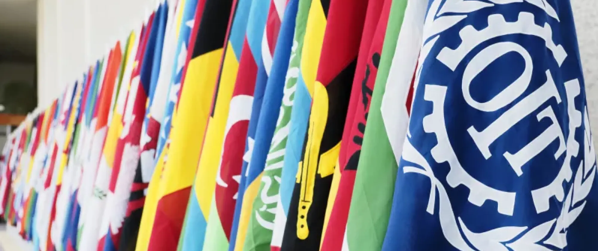 ilo flags.jpeg