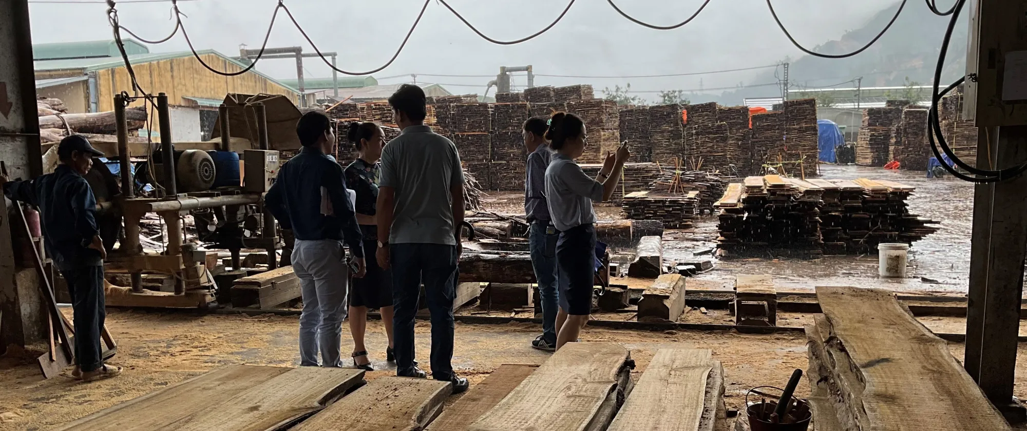 Field assessment at member factory of Forestry Products Association (FPA)
