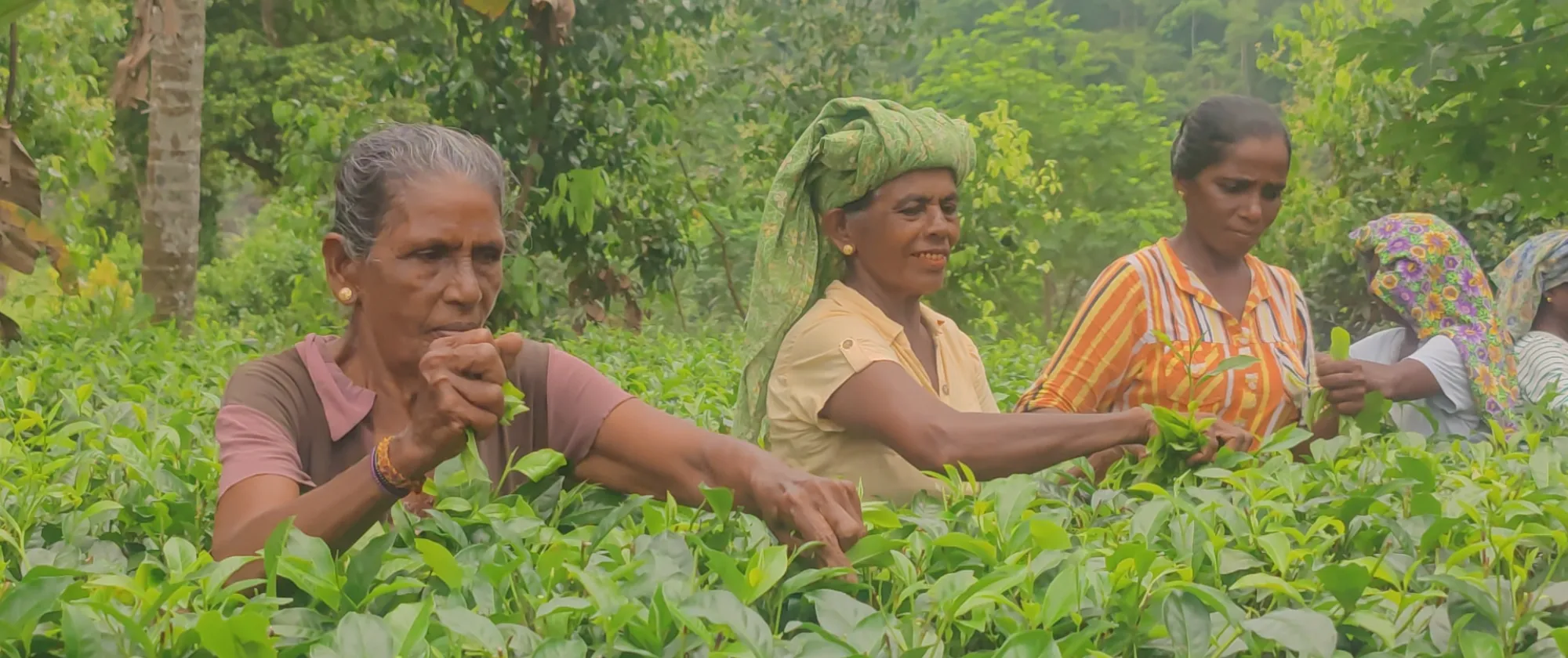 Safety + Health for All Workers in South Asia