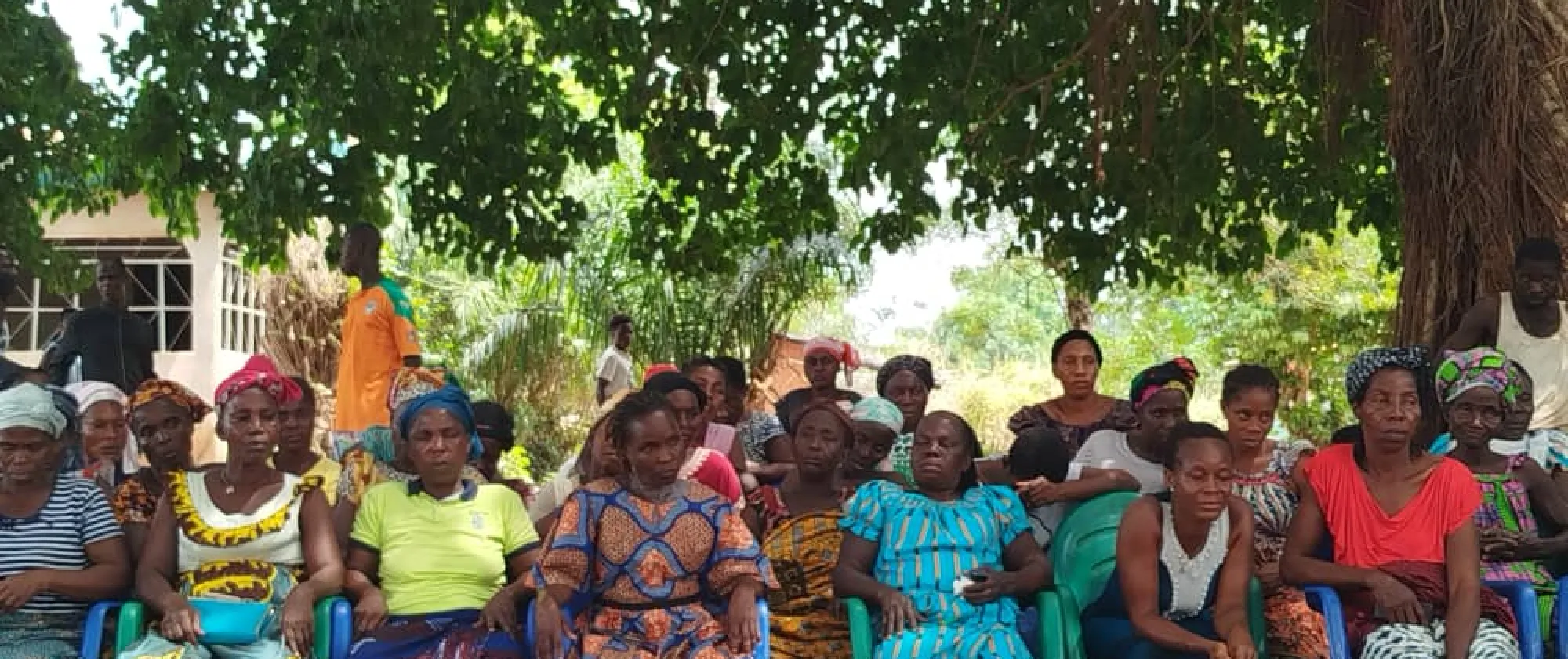 Community members seat together under a tree