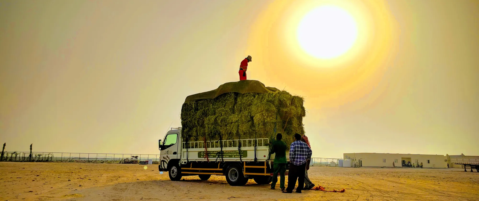 Workers stand next to a truck under the sun