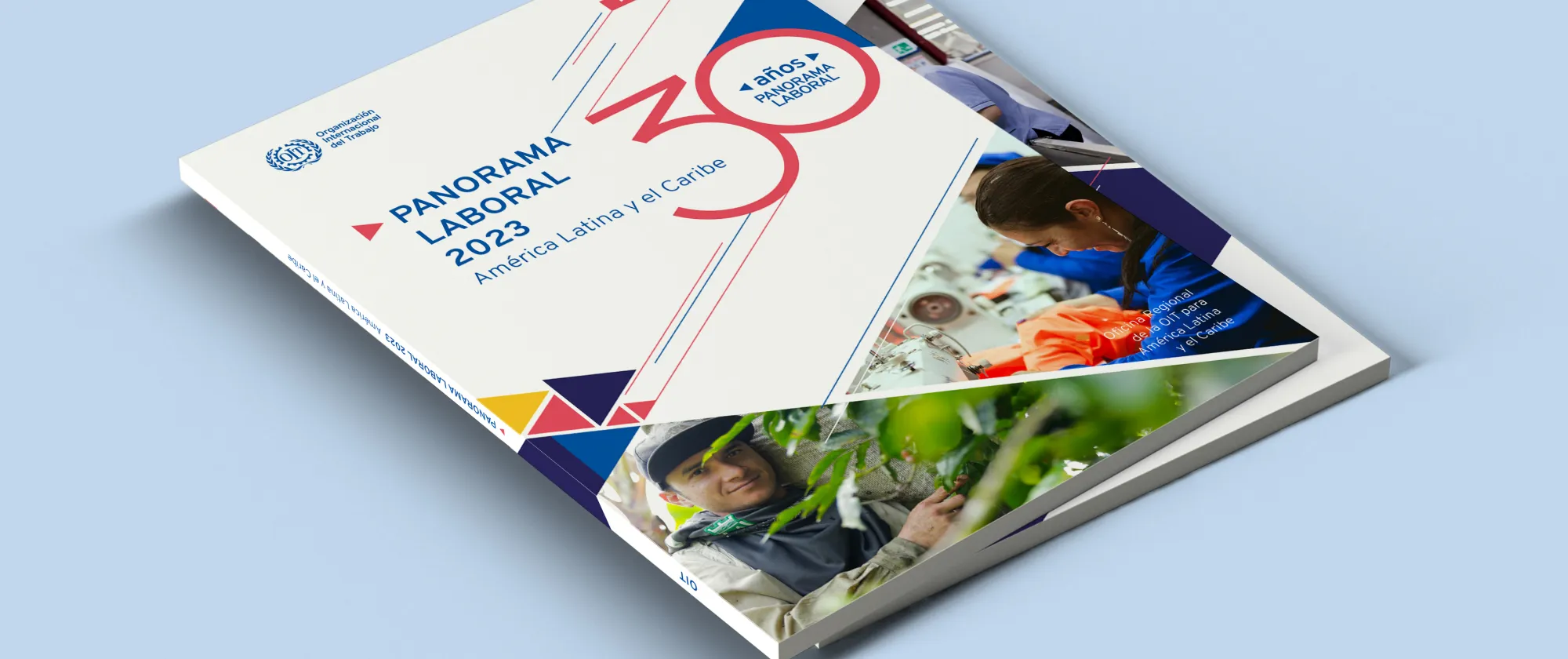 Mockup Panorama Laboral 2023