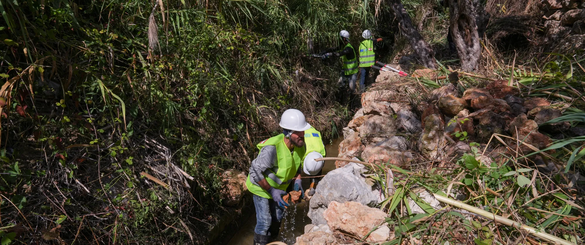 Workers during the cleaning process of the Damour Irrigation Channel