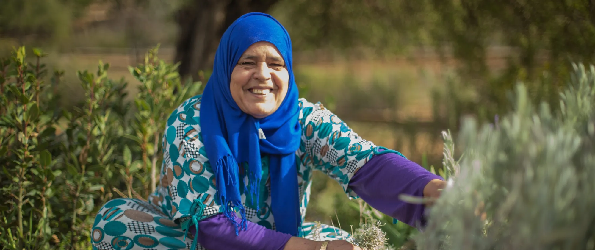 A woman in Morocco working in the green field, showcasing the organization's efforts in advancing gender equality, promoting women's economic empowerment, and combating violence against women.