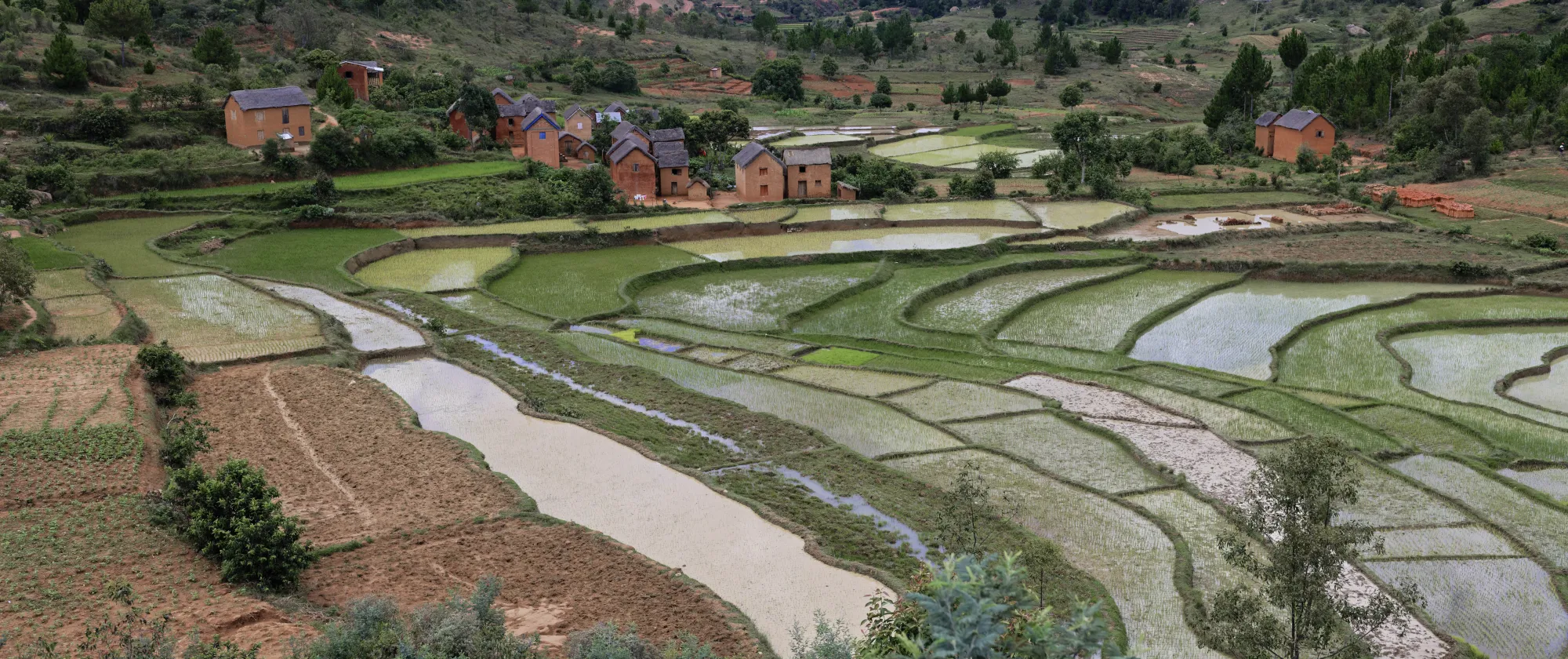 Green fields in a rural setting