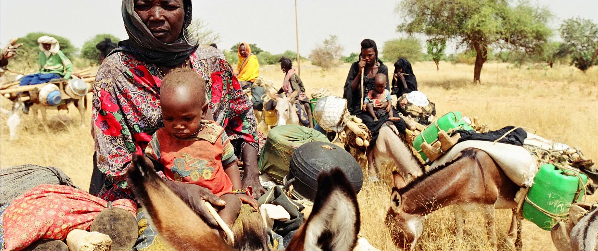Migration group guardians in the region of Abalak.