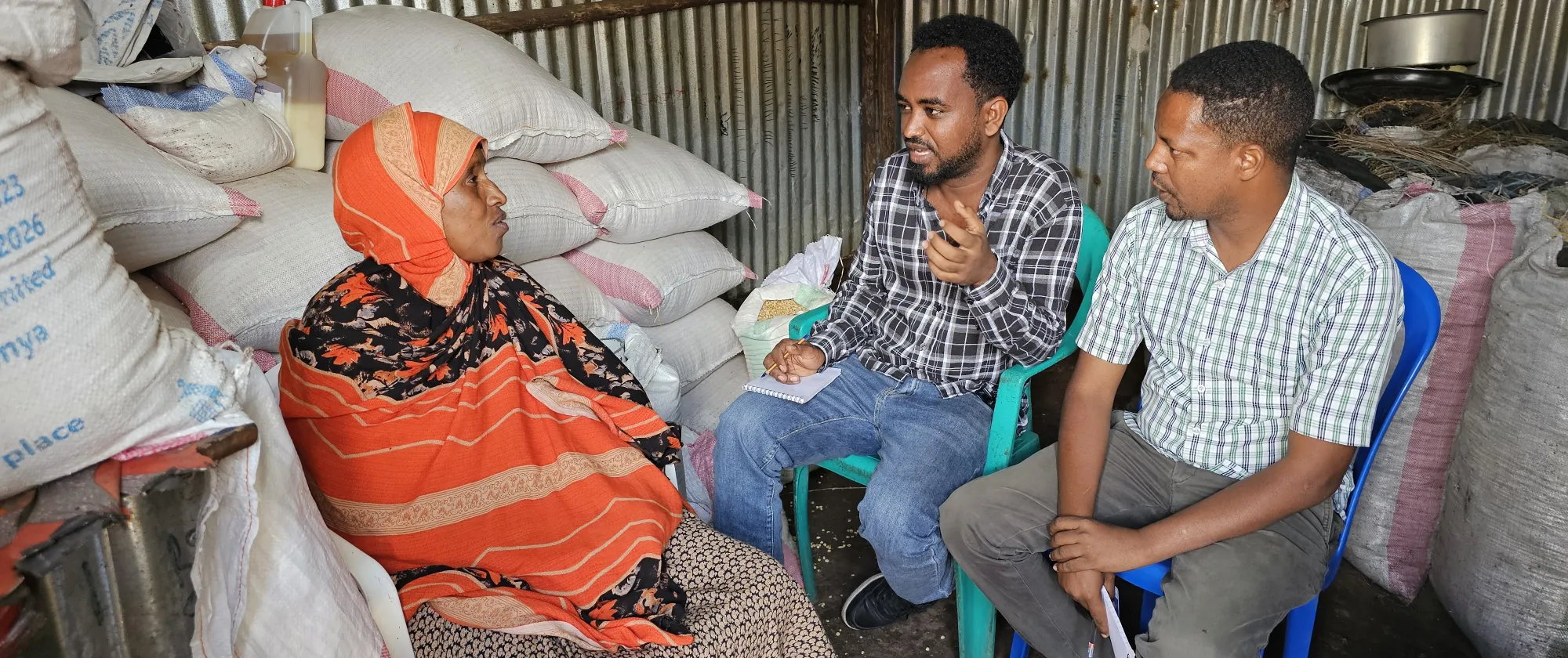 people discussing ethiopia