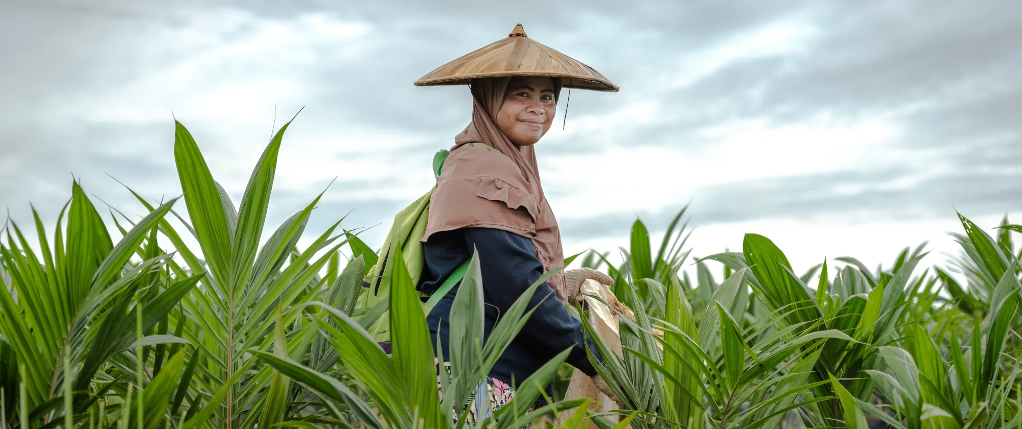 Oil palm nursery female worker