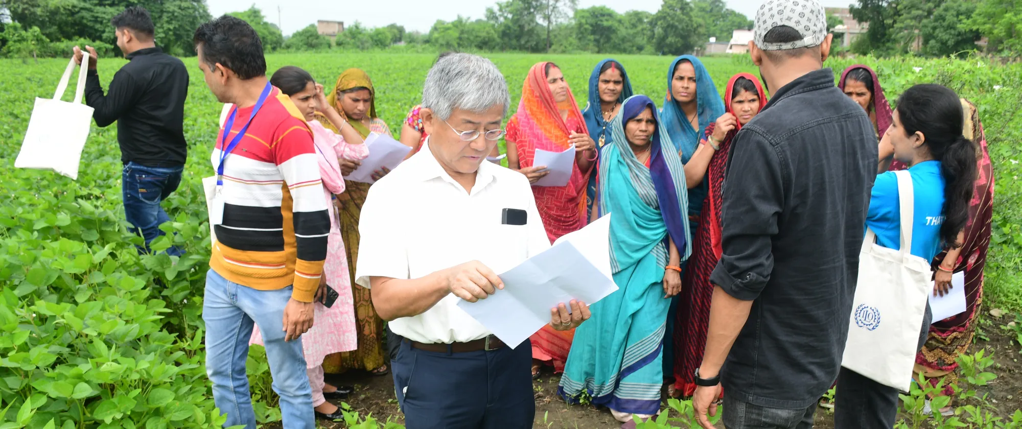 People standing in a field 