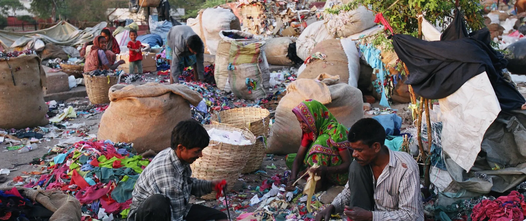 Image for blog Beyond the bin