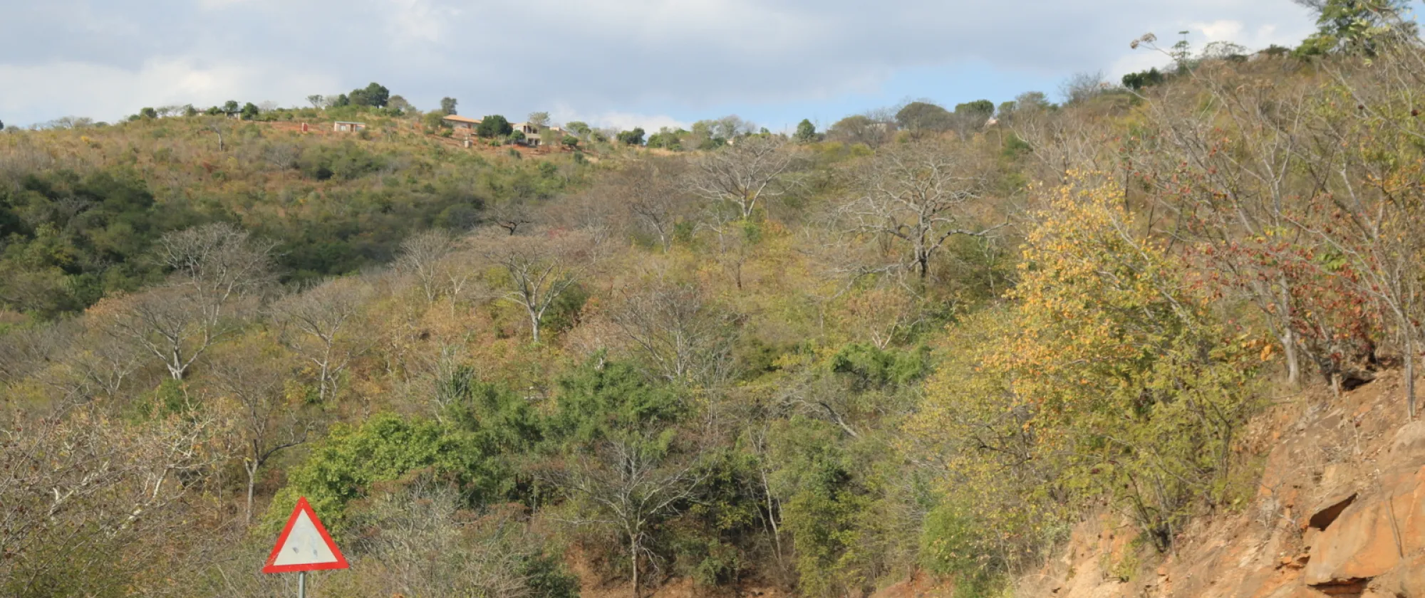 Road in Limpopo_South Africa