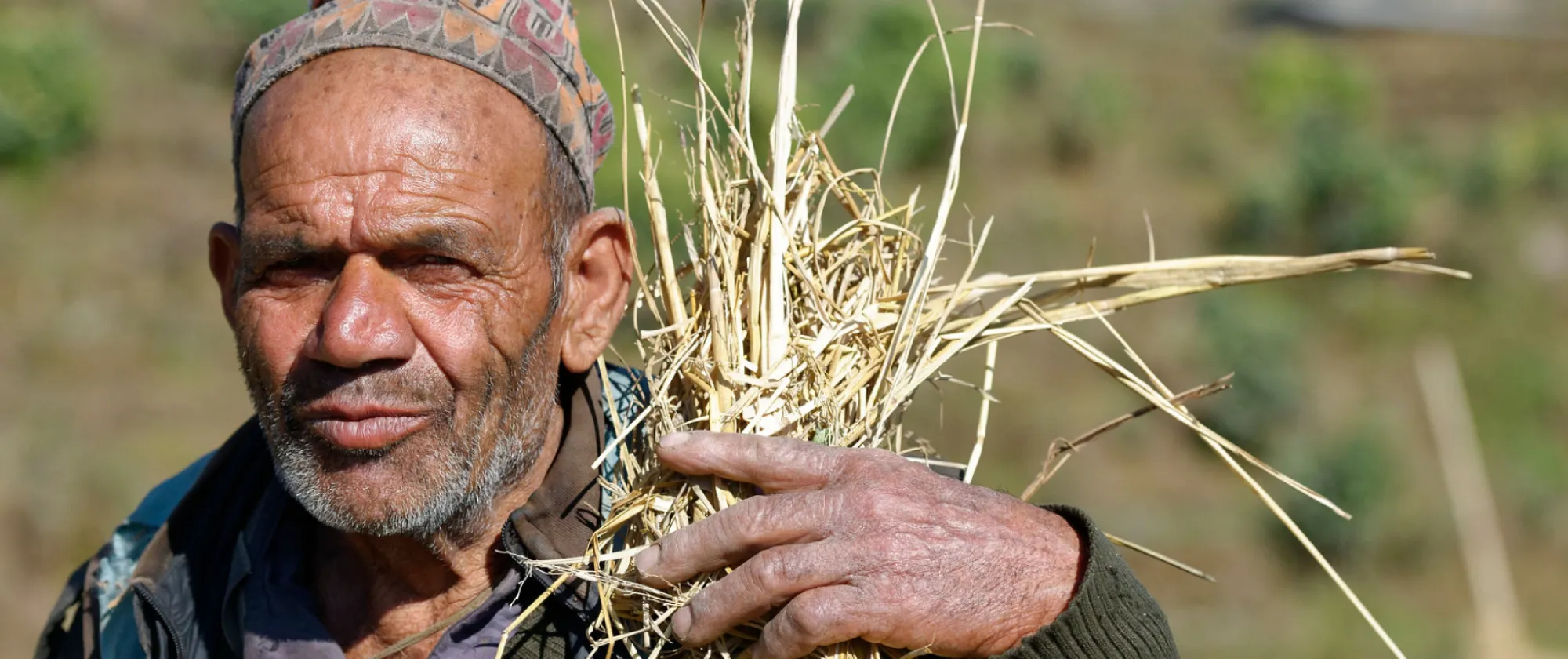 Man holding stray. Rural scenes and farm work.