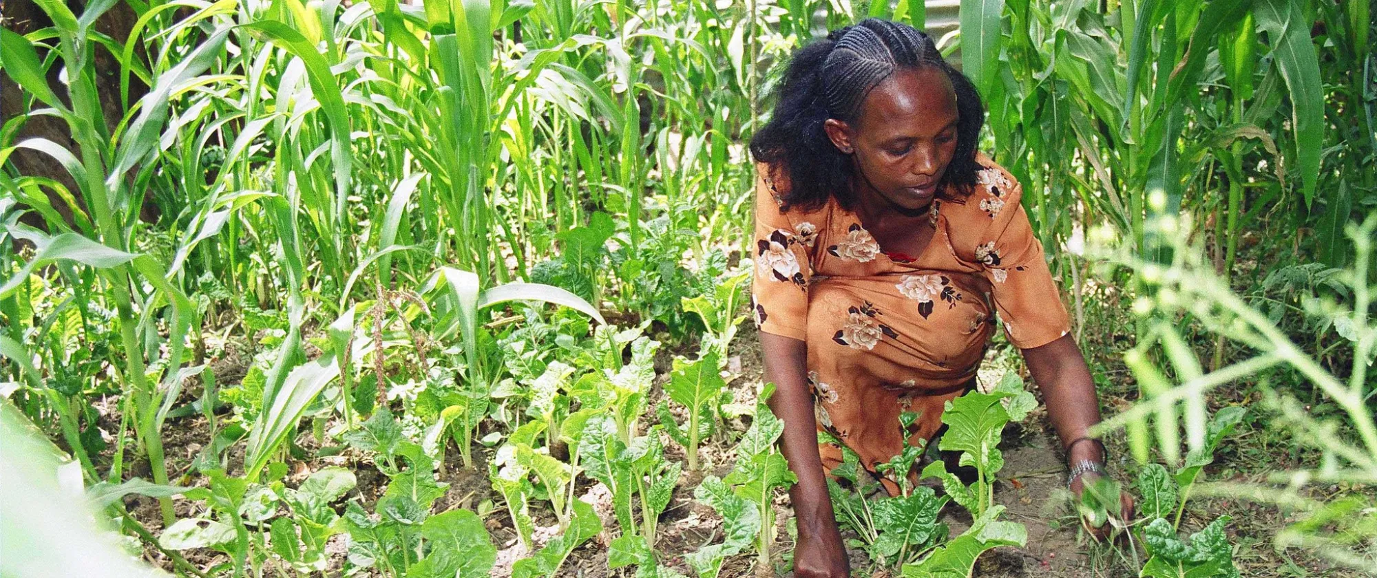Woman farmer with a disability