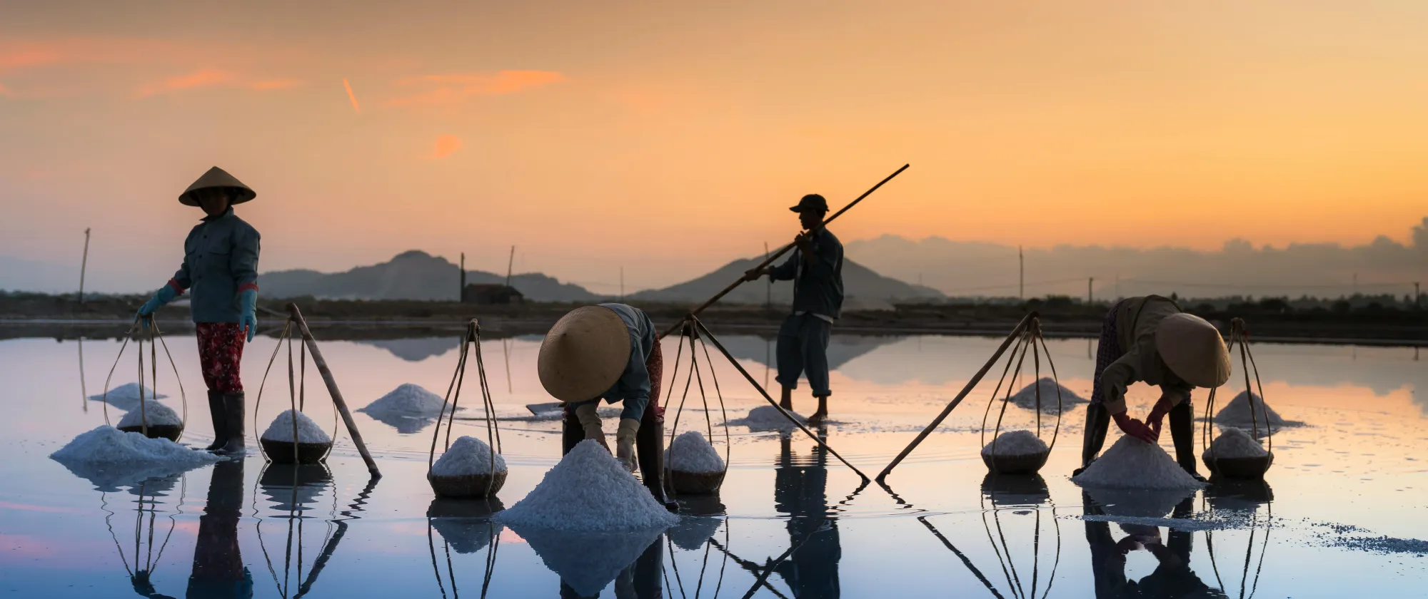 rice field workers.jpg