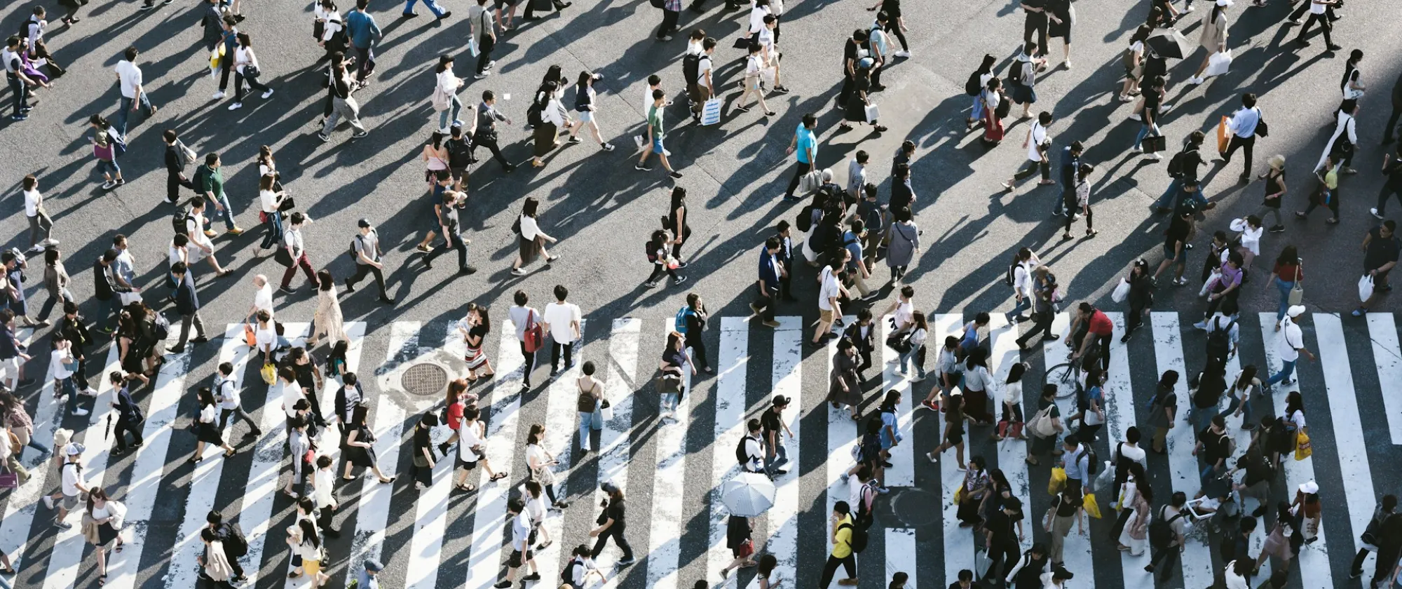 Image for blog on population trends