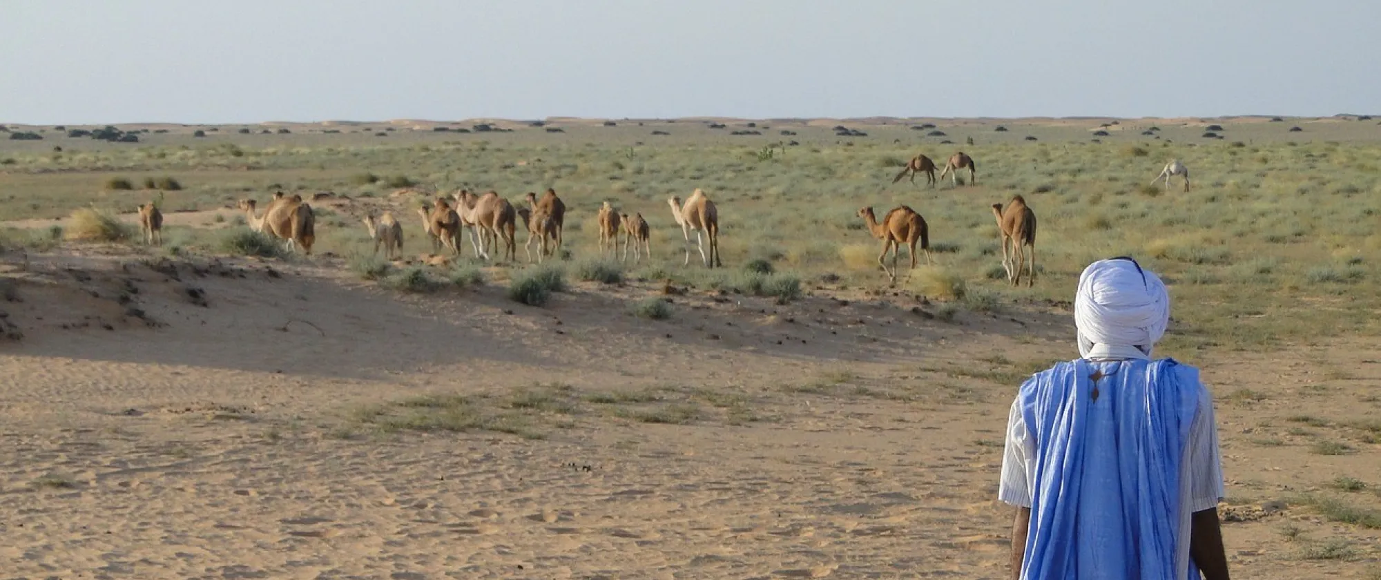 GALAB Mauritanie