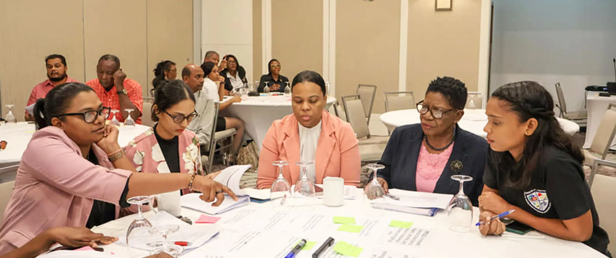 Group working on DWCP Guyana