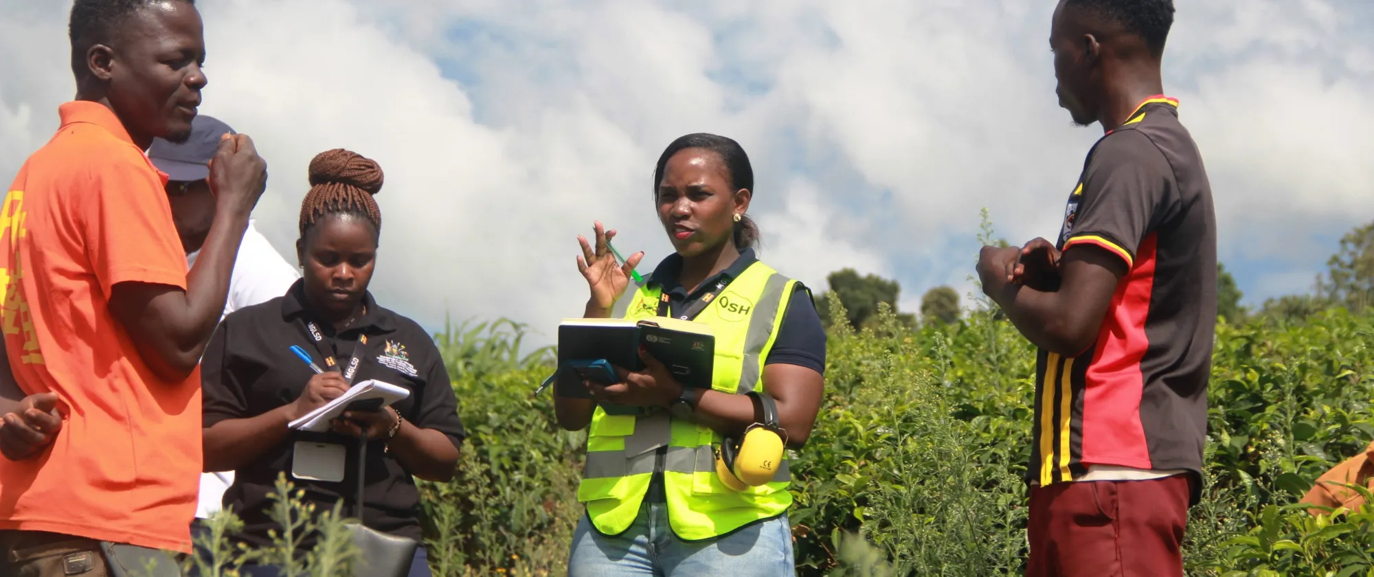 Participants discuss occupational safety and health in a tea plantation setting