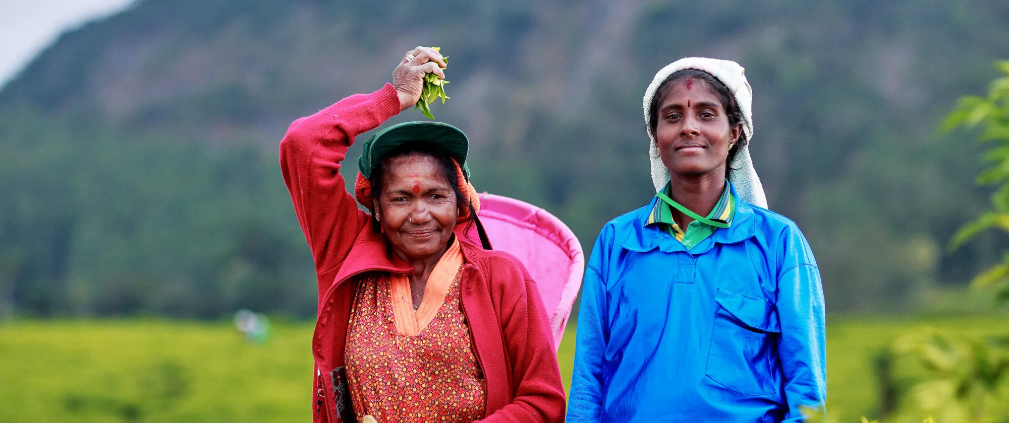 two women workers looking at the camera in a tea plantation