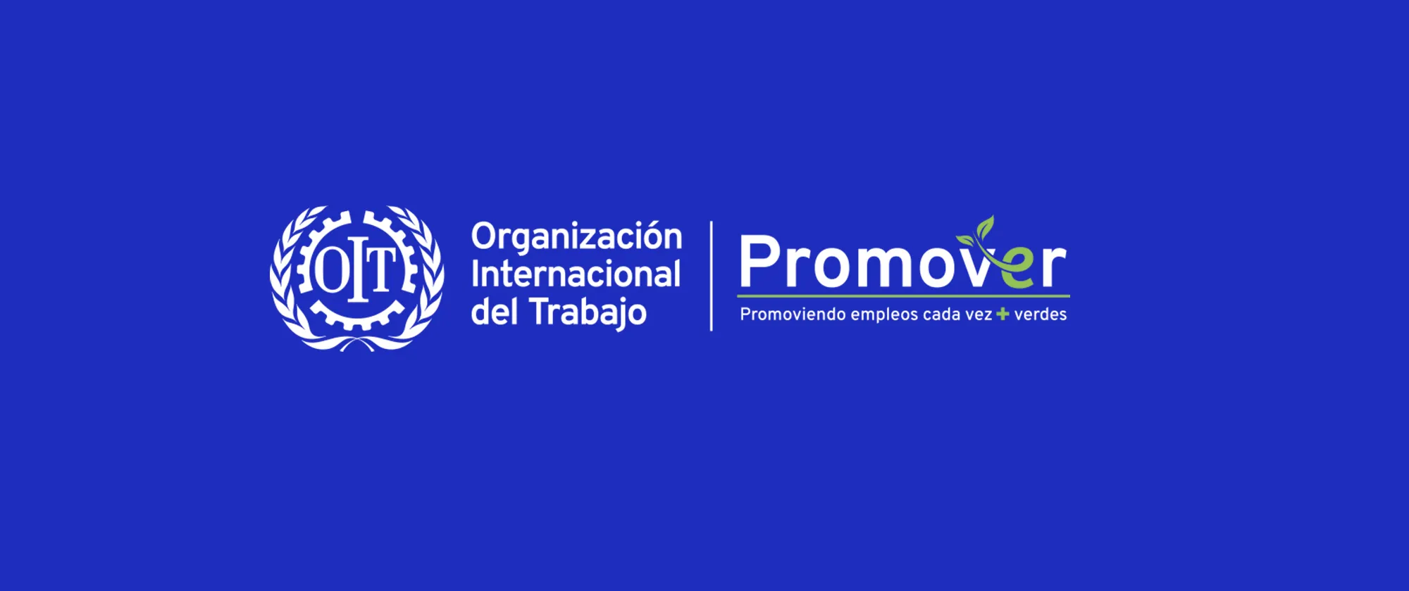 LOGO PROMOVER
