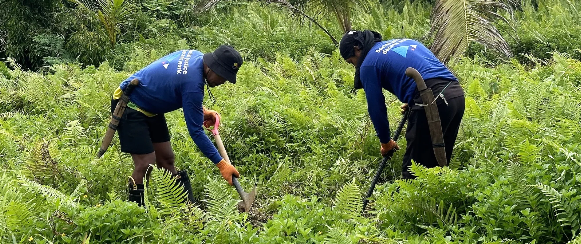 rebuilding-better-coconut-economy-siargao-philippines