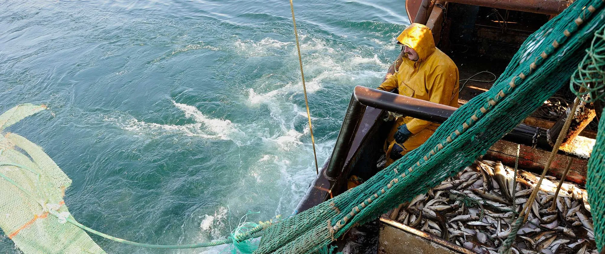 Fisherman on a bottom trawl