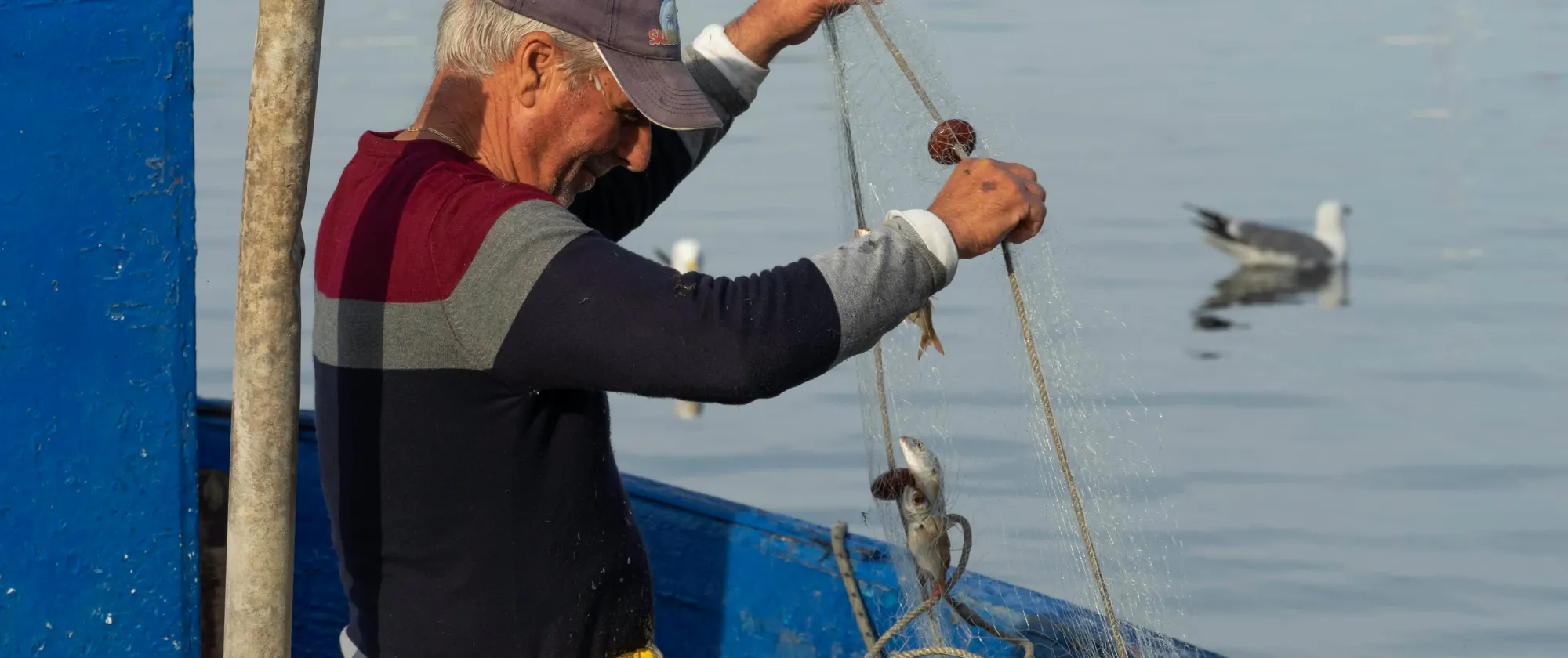 power of social dialogue to promote decent work in fisheries