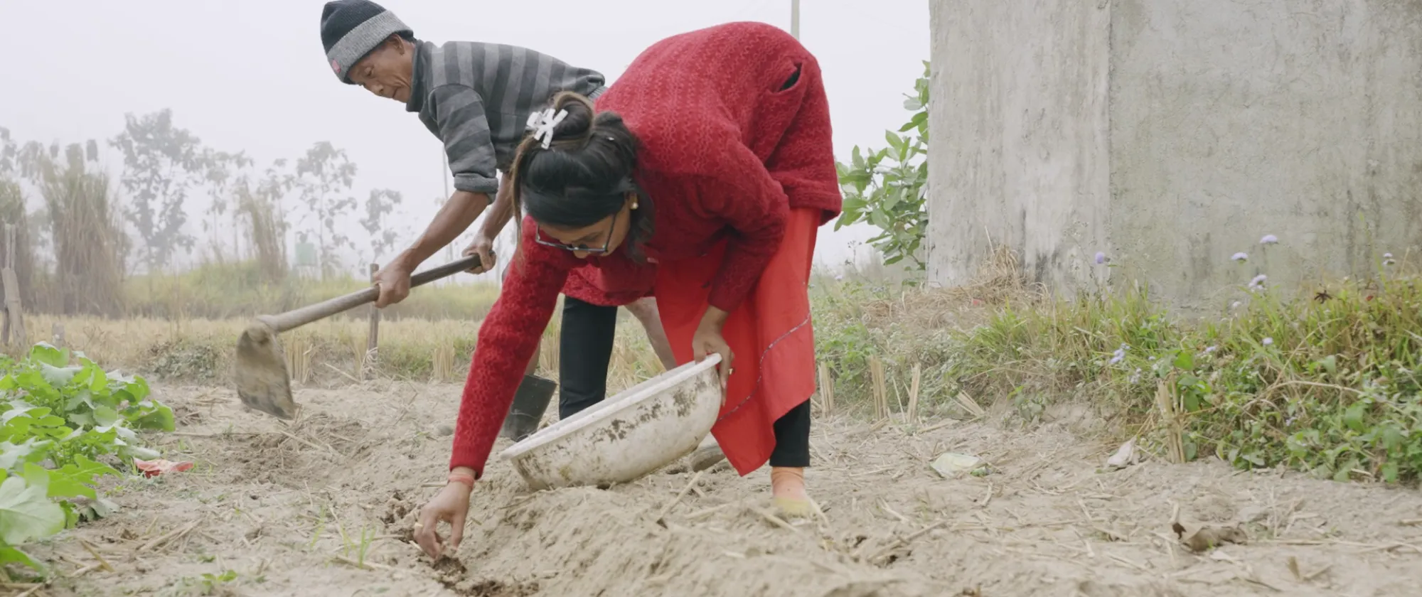 A refugee family was provided with farming land on a lease, good quality seeds and fertilizers and trainings to undertake potato farming as a viable livelihood option.