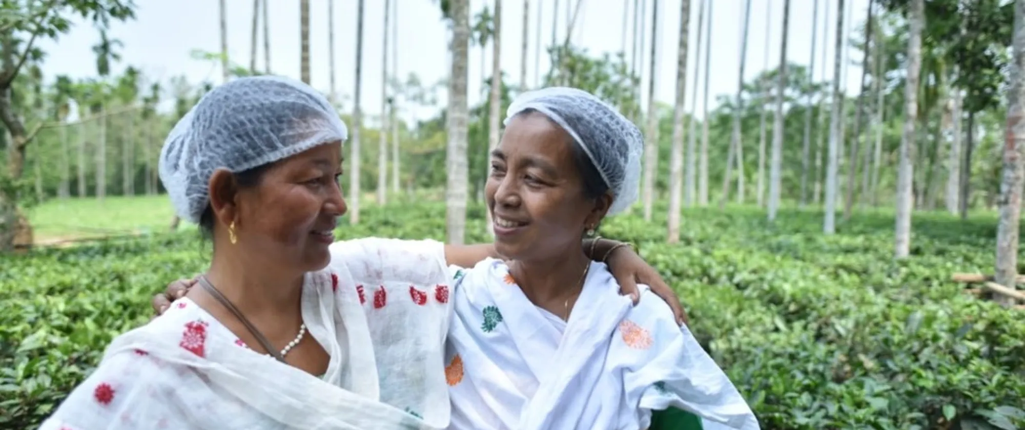 Two tea pluckers looking at each other in a tea plantation