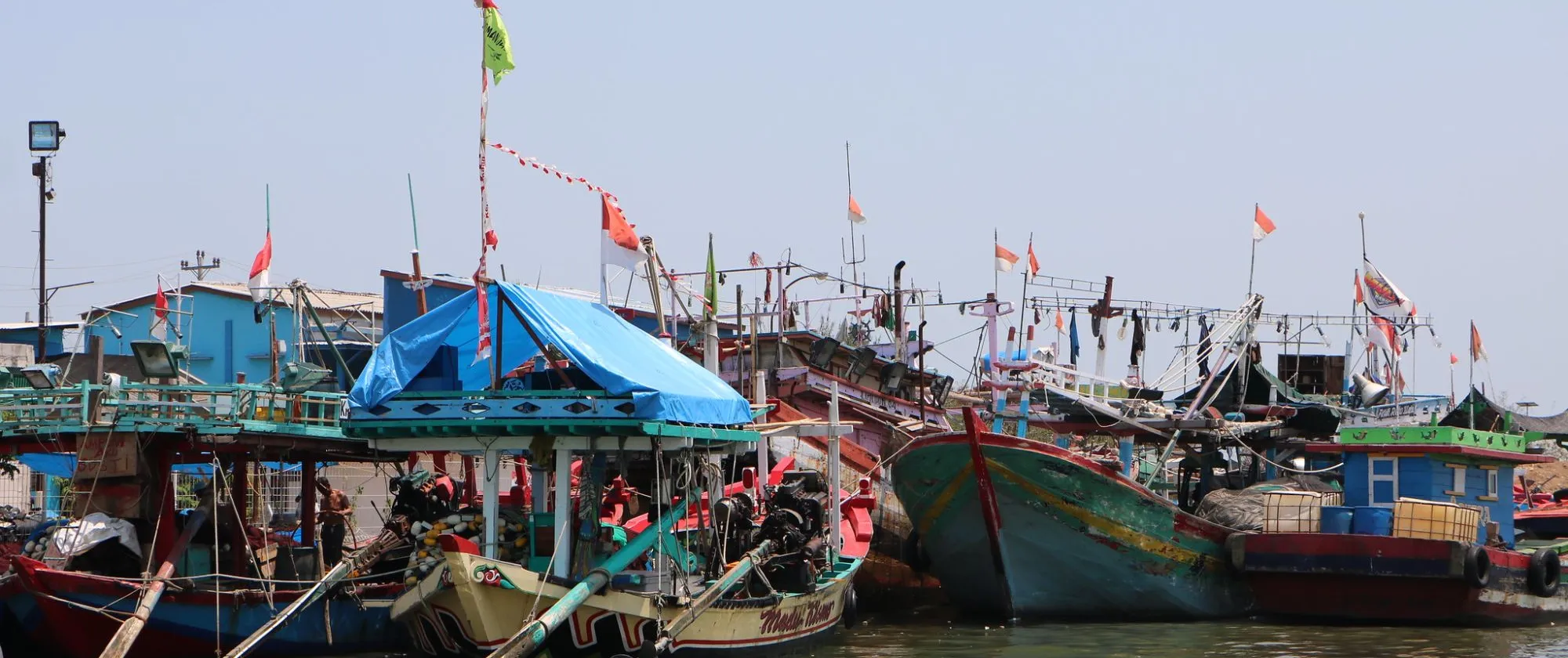 a group of fishing boats at anchor 