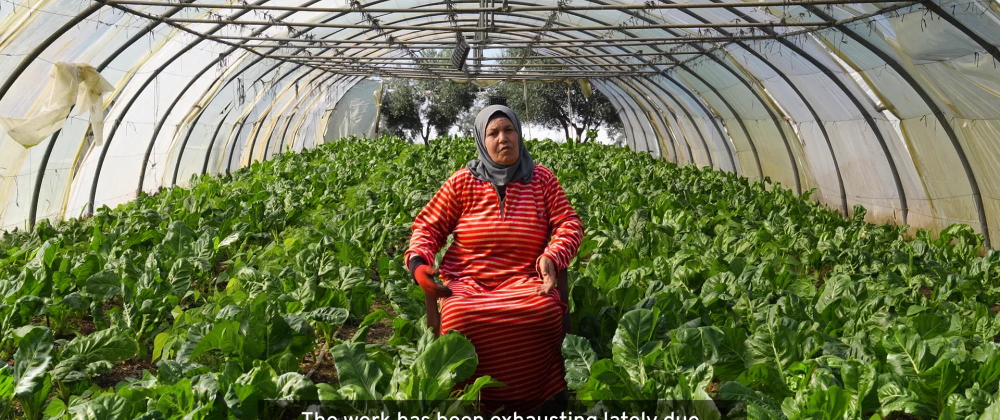 women sitting inside a green house